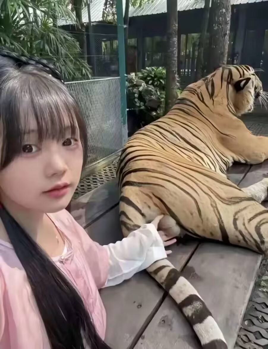 老迷.jpg